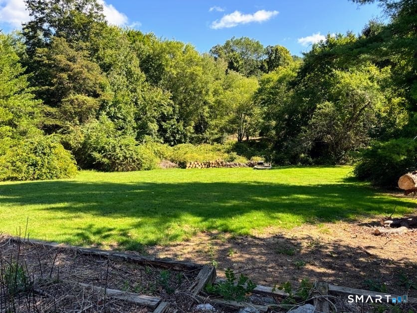 61 Main Street, Unit B Deep River, CT 06417 - Photo 11 of 13 a view of a yard with a large trees