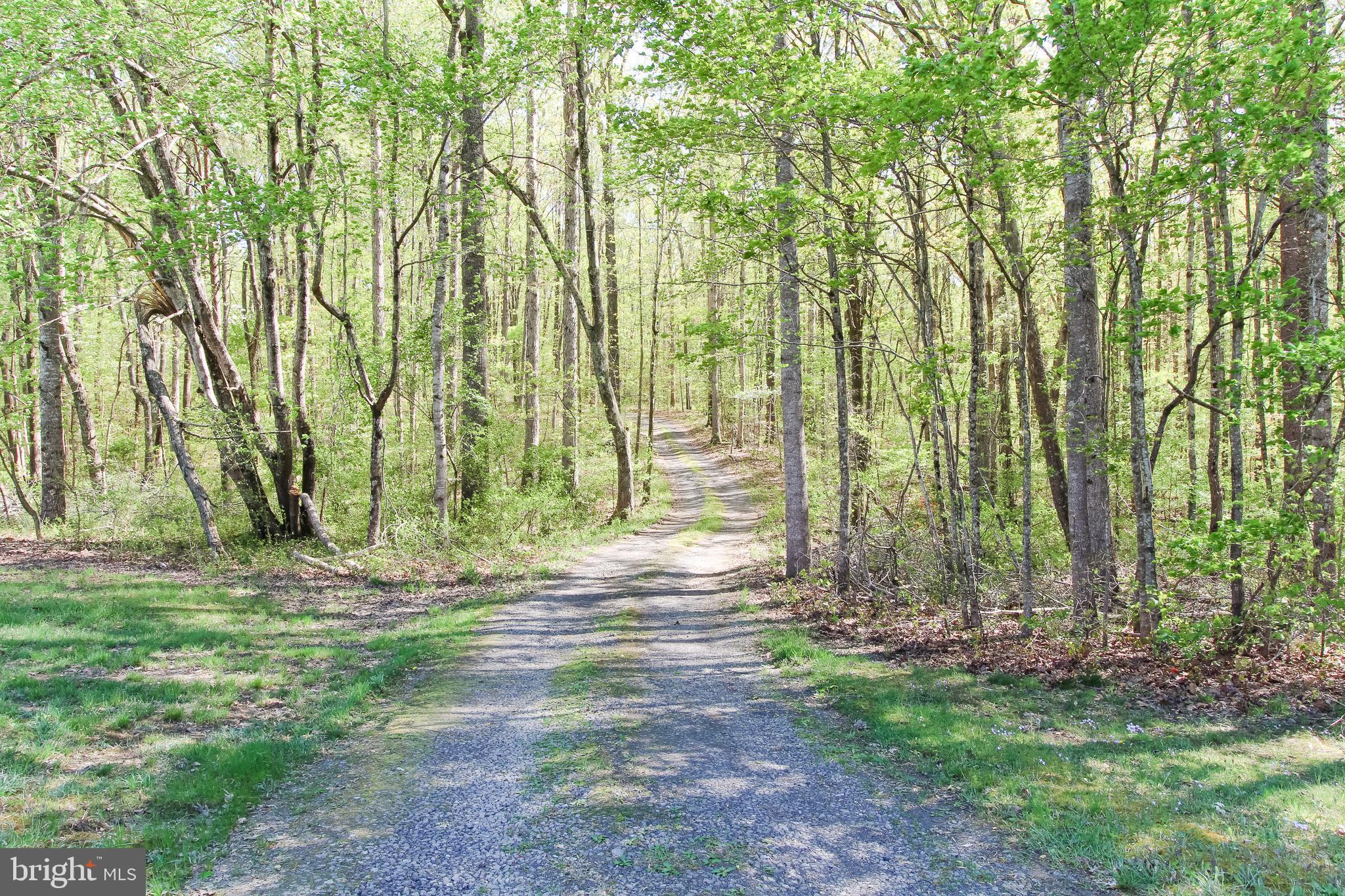 30442 Mine Run Road Locust Grove, VA 22508 - Photo 34 of 35 Driveway