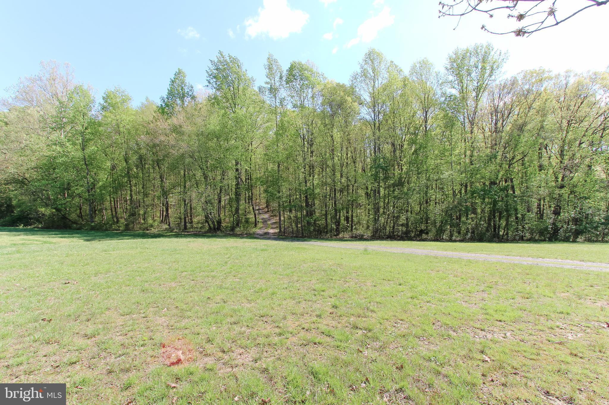 30442 Mine Run Road Locust Grove, VA 22508 - Photo 35 of 35 View Entering Property