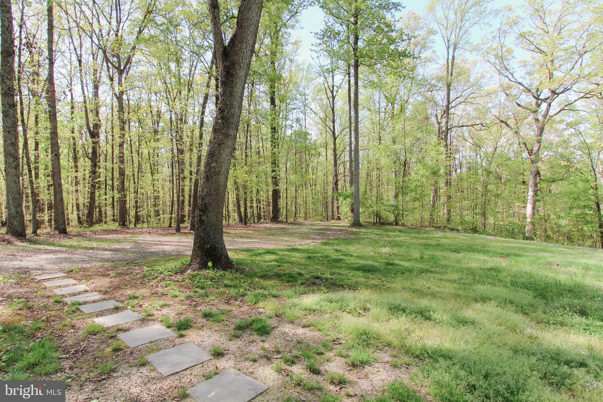 30442 Mine Run Road Locust Grove, VA 22508 - Photo 6 of 35 View From Front Porch