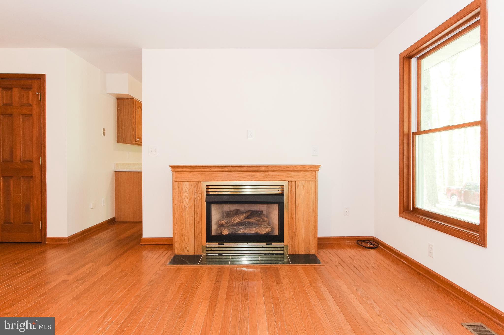 30442 Mine Run Road Locust Grove, VA 22508 - Photo 9 of 35 Gas Fireplace