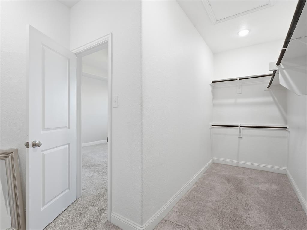 1128 Red Hawk Lane Forney, TX 75126 - Photo 21 of 37 Walk-in closet with carpet flooring, white shelving, and hanging rods