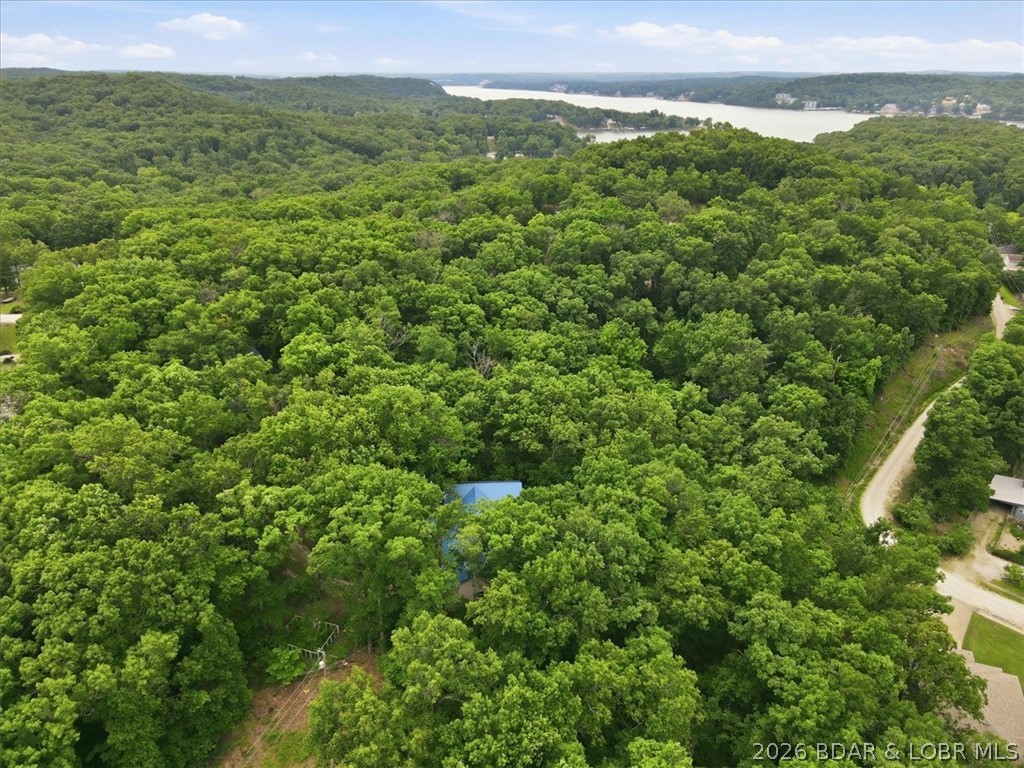 517 Timber Ridge Road Sunrise Beach, MO 65079 - Photo 9 of 37