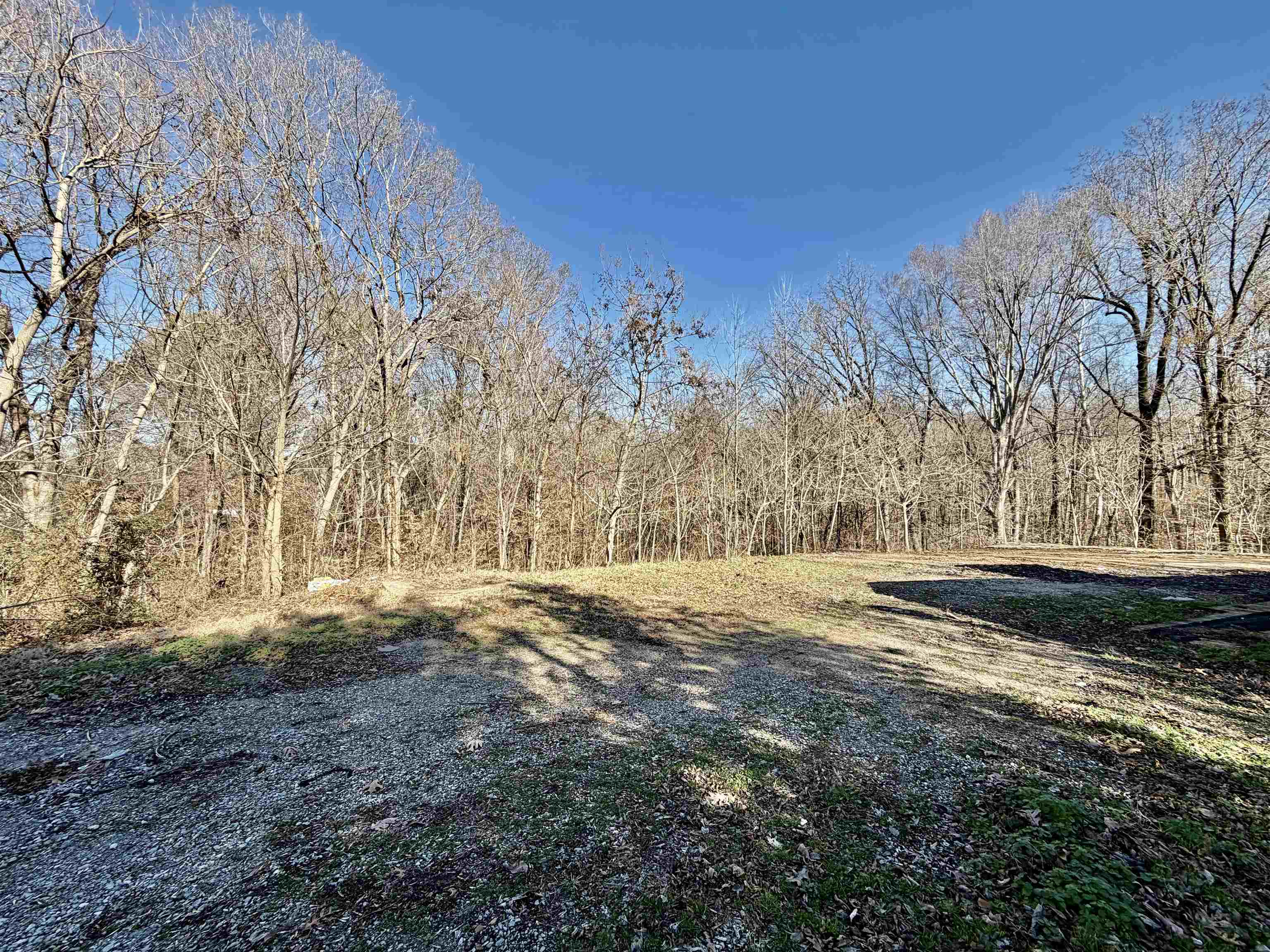 284 Double Bridges Road Munford, TN 38058 - Photo 3 of 5 a view of dirt yard with a large tree