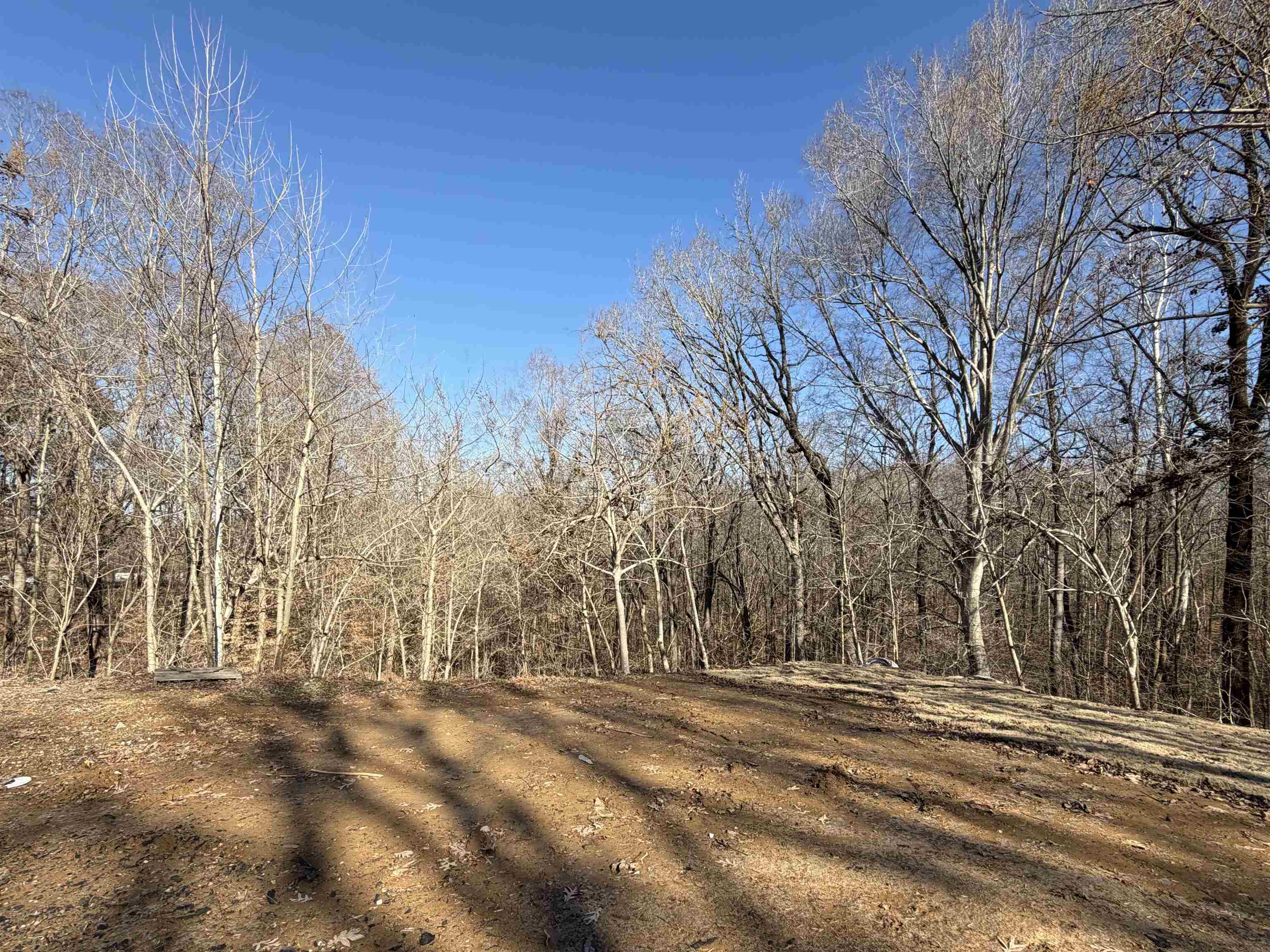 284 Double Bridges Road Munford, TN 38058 - Photo 4 of 5 a view of road and trees