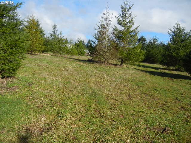 185 Pandora Pointe Road Woodland, WA 98674 - Photo 1 of 6 Gallery Image 1