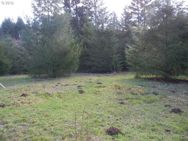 185 Pandora Pointe Road Woodland, WA 98674 - Photo 2 of 6 Gallery Image 2