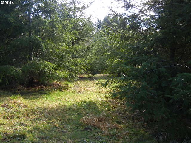 185 Pandora Pointe Road Woodland, WA 98674 - Photo 4 of 6 Gallery Image 4
