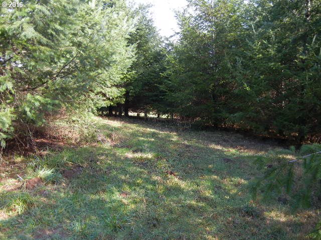 185 Pandora Pointe Road Woodland, WA 98674 - Photo 5 of 6 Gallery Image 5