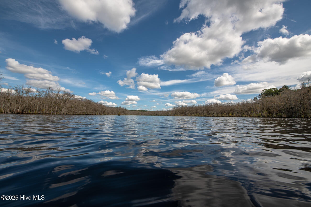 709 Everetts Mill Road Rockingham, NC 28379 - Photo 108 of 120 Everetts Lake Property MLS Pics-7101