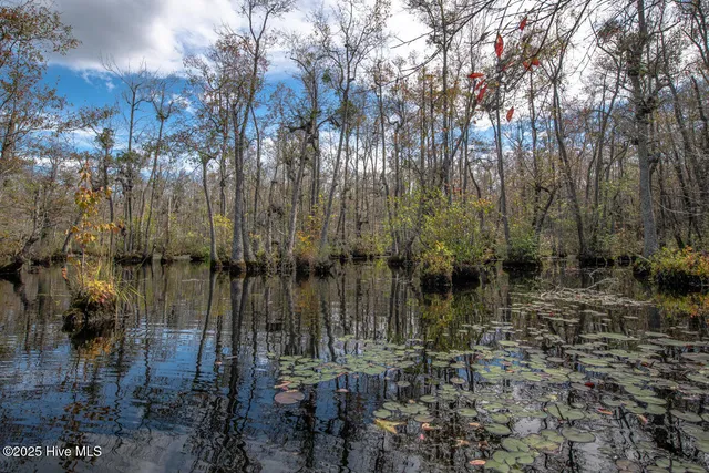 $1,400,000 | 709 Everetts Mill Road, Rockingham, NC 28379