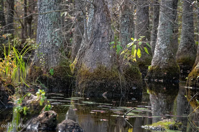 $1,400,000 | 709 Everetts Mill Road, Rockingham, NC 28379