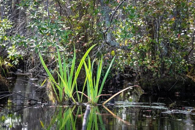 $1,400,000 | 709 Everetts Mill Road, Rockingham, NC 28379