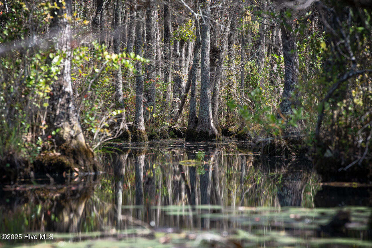 709 Everetts Mill Road Rockingham, NC 28379 - Photo 114 of 120 Everetts Lake Property MLS Pics-7151