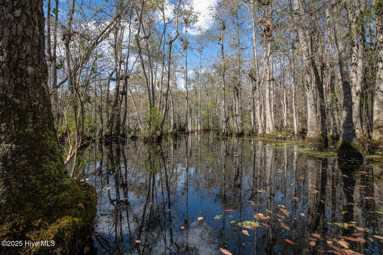 709 Everetts Mill Road Rockingham, NC 28379 - Photo 116 of 120 Everetts Lake Property MLS Pics-7169