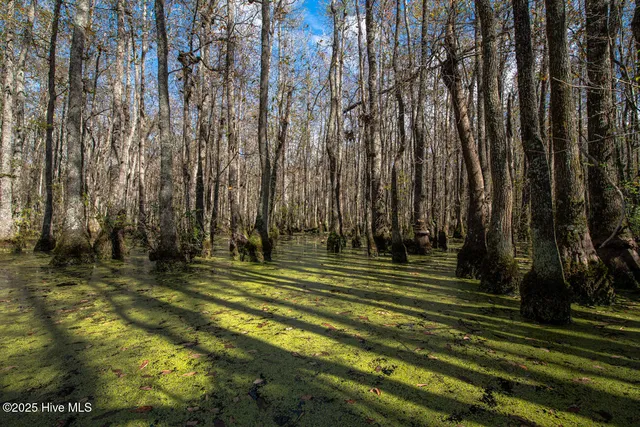 $1,400,000 | 709 Everetts Mill Road, Rockingham, NC 28379