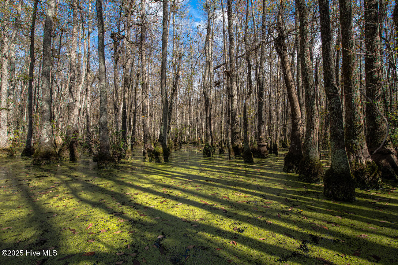 709 Everetts Mill Road Rockingham, NC 28379 - Photo 117 of 120 Everetts Lake Property MLS Pics-7180