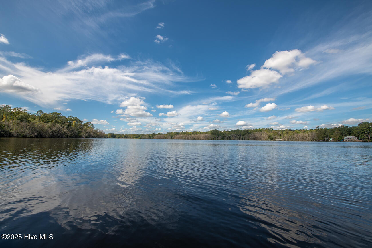 709 Everetts Mill Road Rockingham, NC 28379 - Photo 77 of 92 Everetts Lake Property MLS Pics-7053