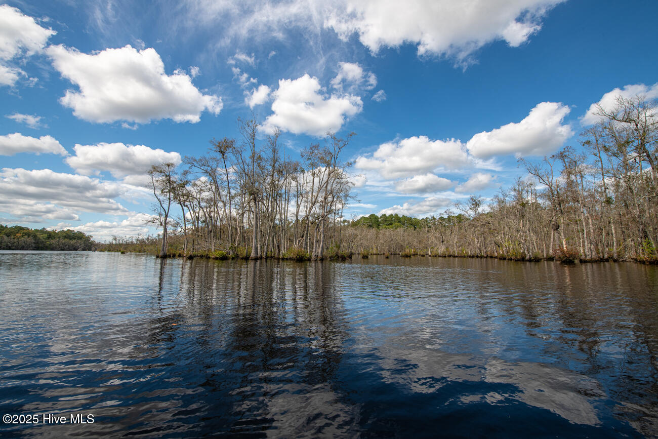 709 Everetts Mill Road Rockingham, NC 28379 - Photo 82 of 120 Everetts Lake Property MLS Pics-2-2