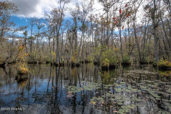 $1,100,000 | 709 Everetts Mill Road, Rockingham, NC 28379