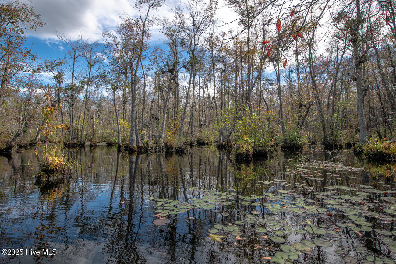 709 Everetts Mill Road Rockingham, NC 28379 - Photo 83 of 92 Everetts Lake Property MLS Pics-7139