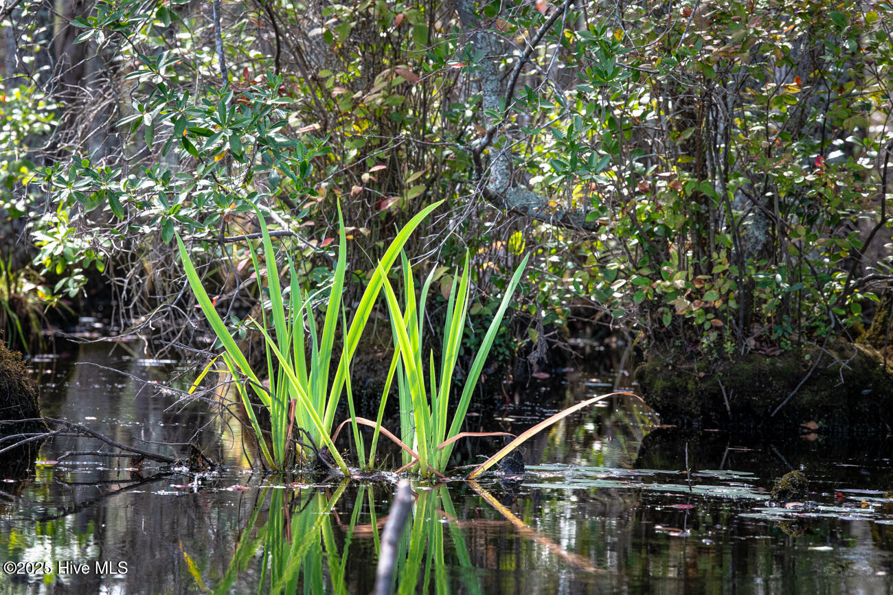 709 Everetts Mill Road Rockingham, NC 28379 - Photo 86 of 92 Everetts Lake Property MLS Pics-7147