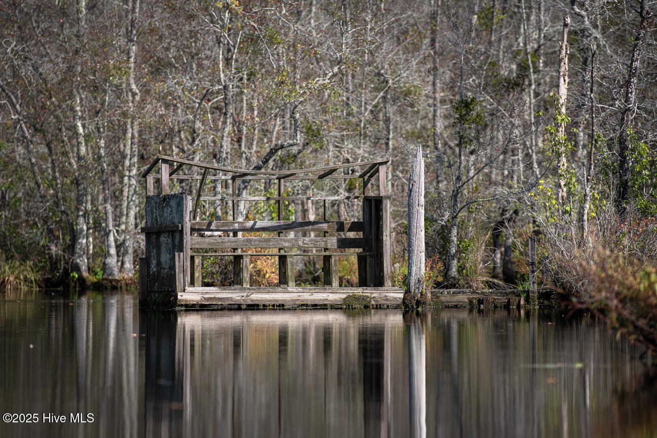 709 Everetts Mill Road Rockingham, NC 28379 - Photo 90 of 92 Everetts Lake Property MLS Pics-7185