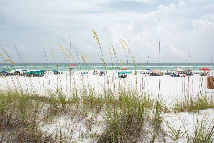 219 Enchanted Way Santa Rosa Beach, FL 32459 - Photo 36 of 39 Gallery Image 36