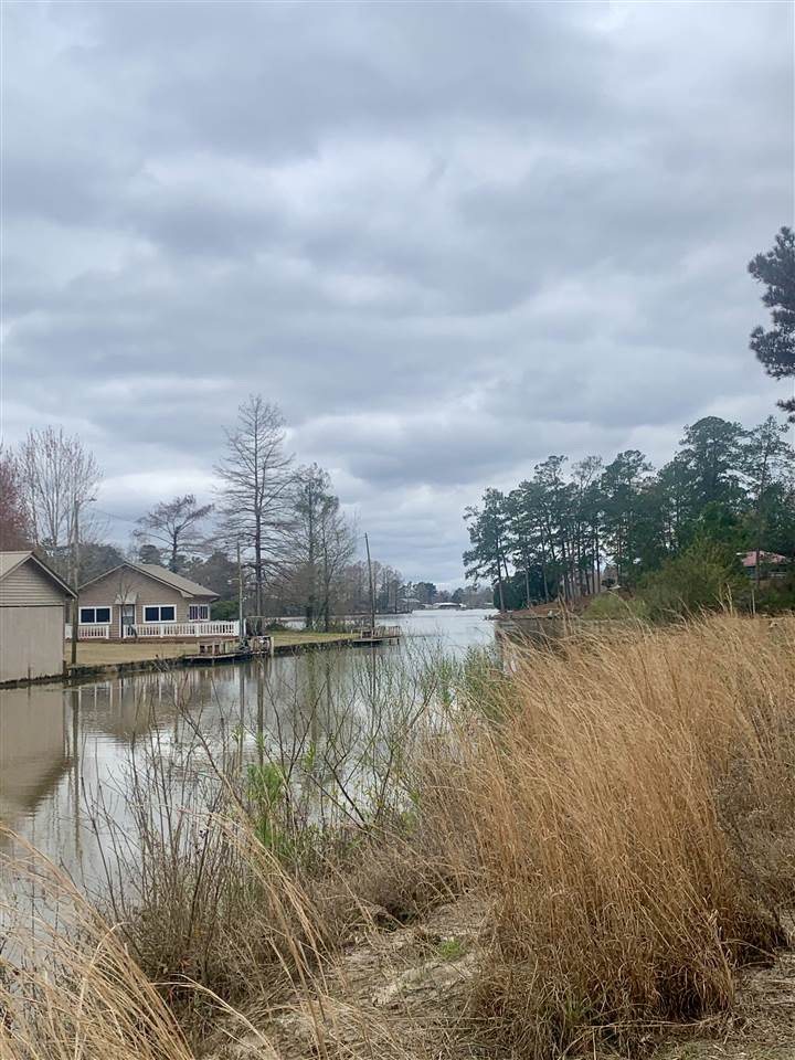 0 Magnolia Pointe Road Andalusia, AL 36421 - Photo 4 of 5 Gallery Image 4