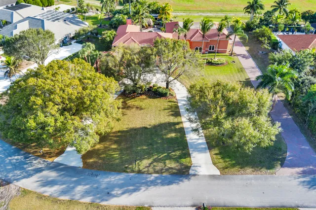 a view of a yard with plants
