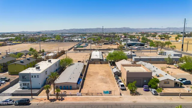 an aerial view of a house with a garden potted plants and large trees