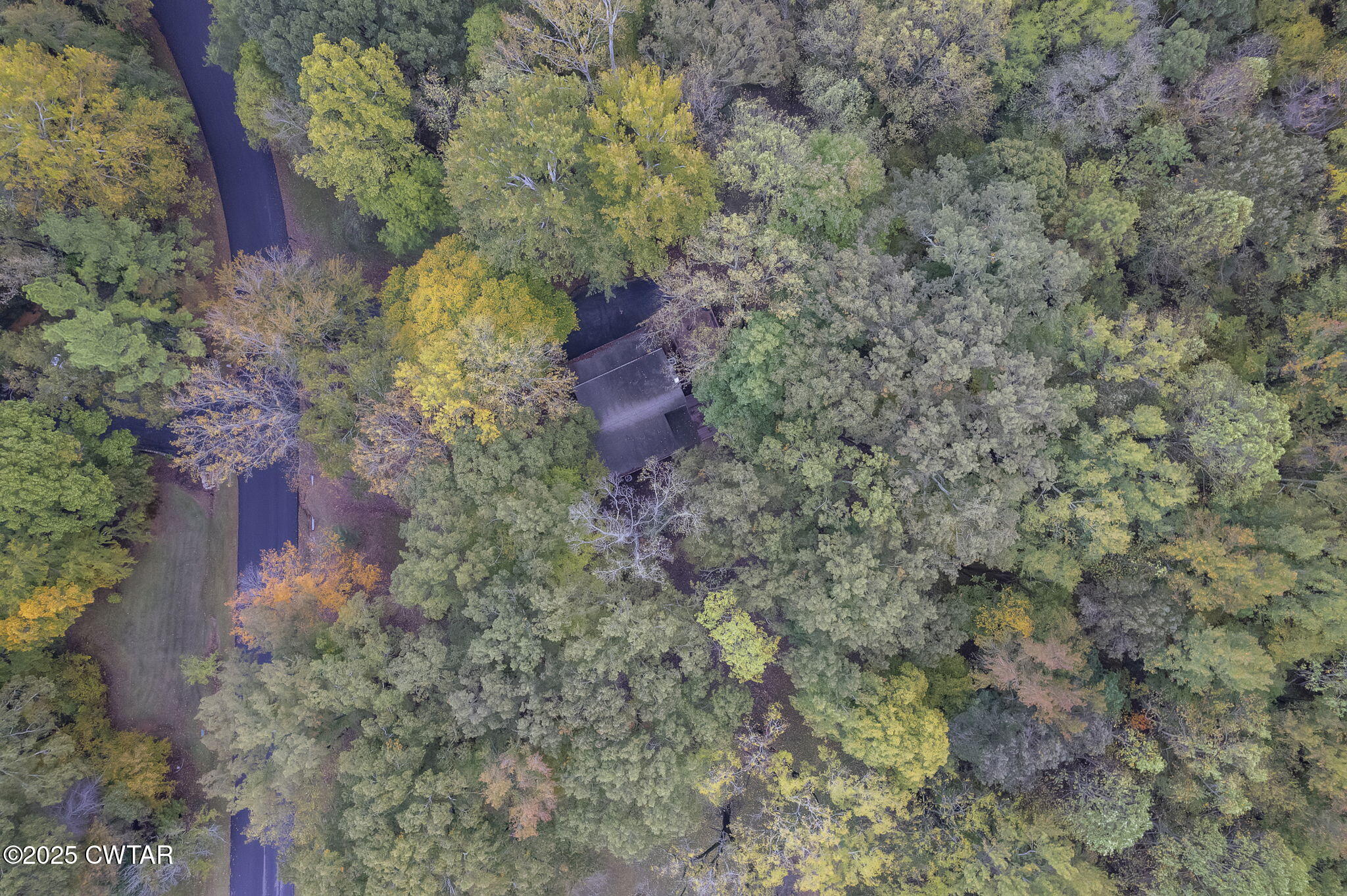 117 Tuckahoe Road Jackson, TN 38305 - Photo 35 of 57 a view of a yard with a tree