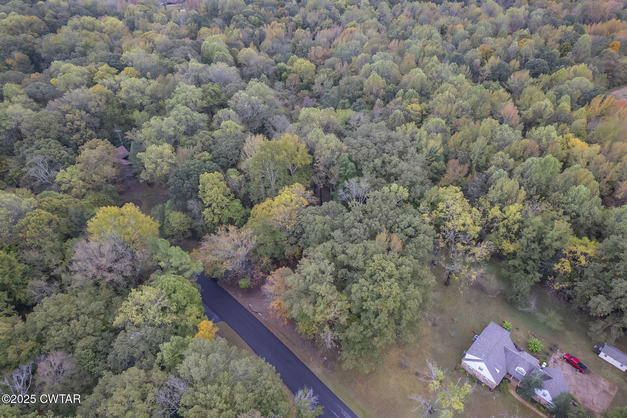 117 Tuckahoe Road Jackson, TN 38305 - Photo 38 of 57 a view of a forest with a tree