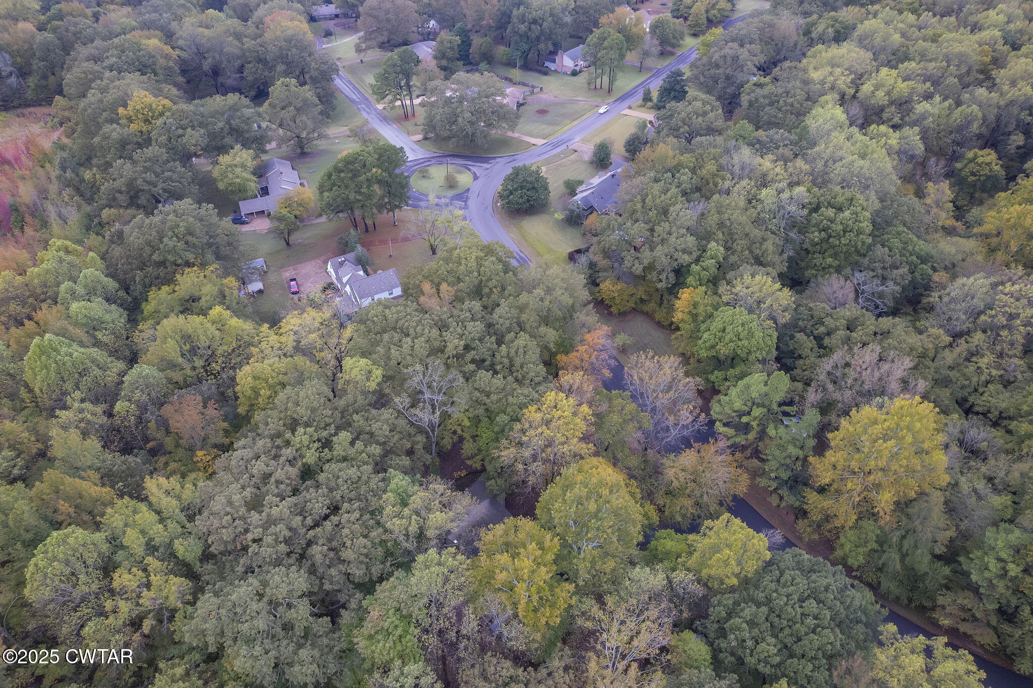117 Tuckahoe Road Jackson, TN 38305 - Photo 39 of 57 a view of a forest with a tree