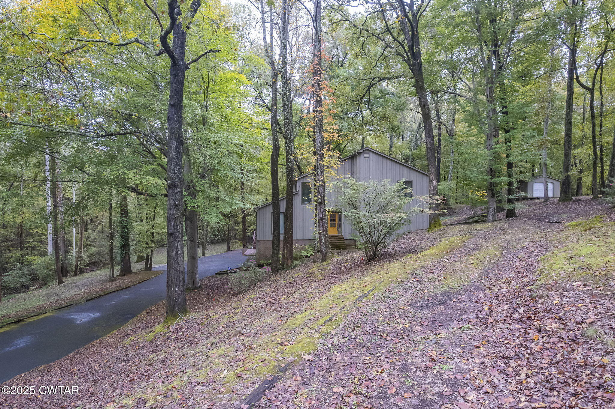 117 Tuckahoe Road Jackson, TN 38305 - Photo 40 of 57 a backyard of a house with large trees and wooden fence