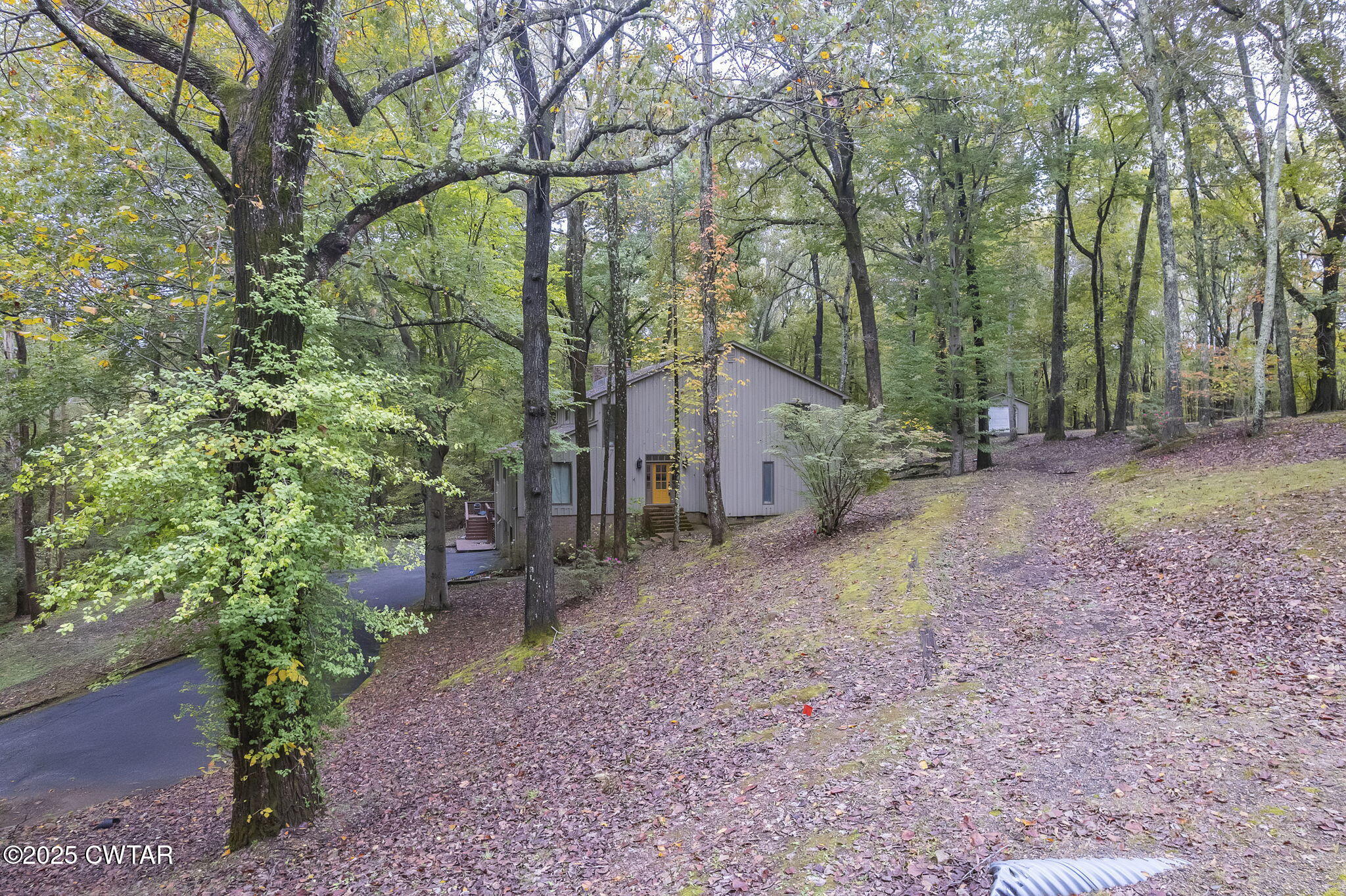 117 Tuckahoe Road Jackson, TN 38305 - Photo 41 of 57 a view of a house with a yard and tree