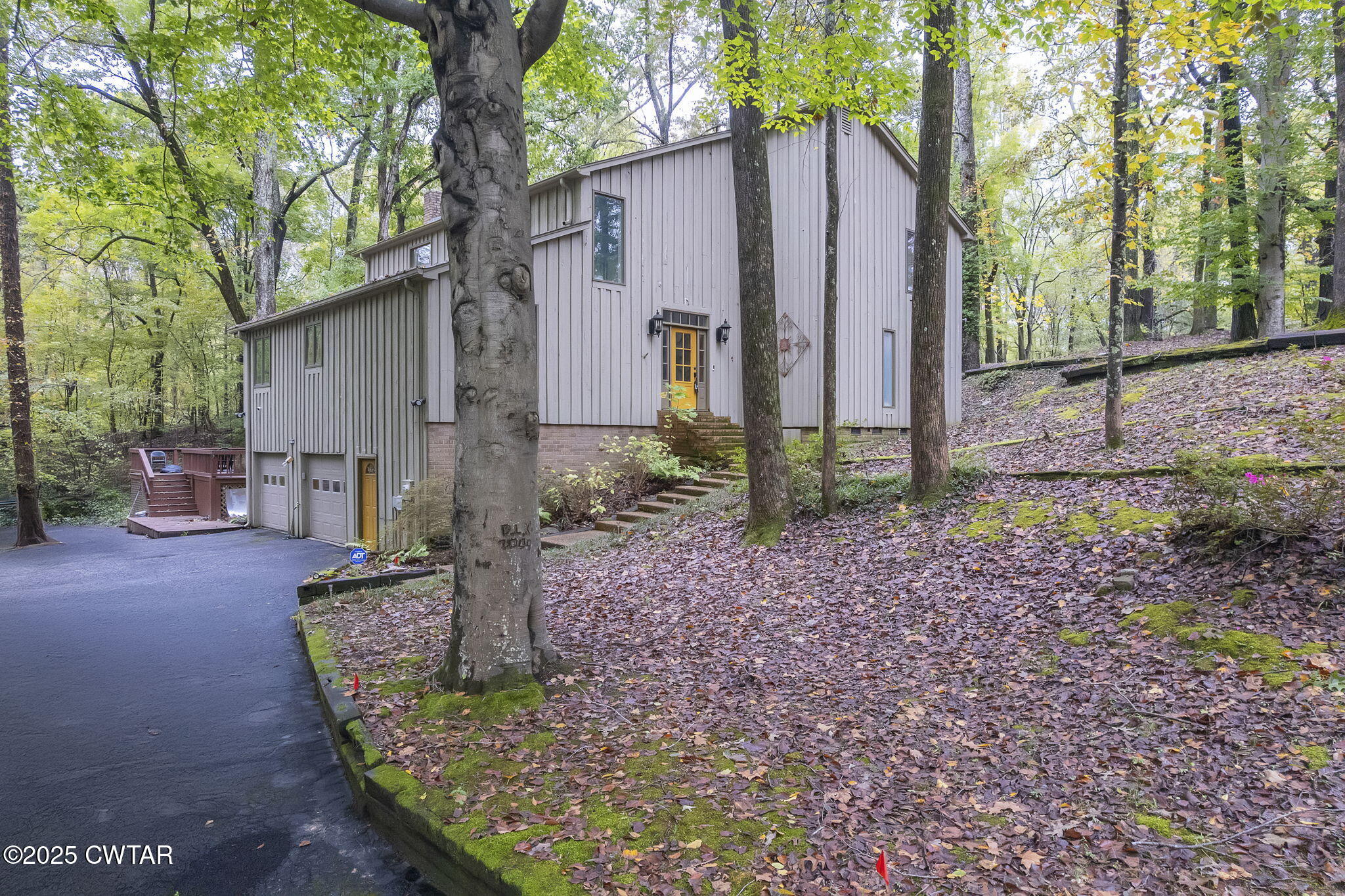 117 Tuckahoe Road Jackson, TN 38305 - Photo 45 of 57 a view of a house with backyard and trees
