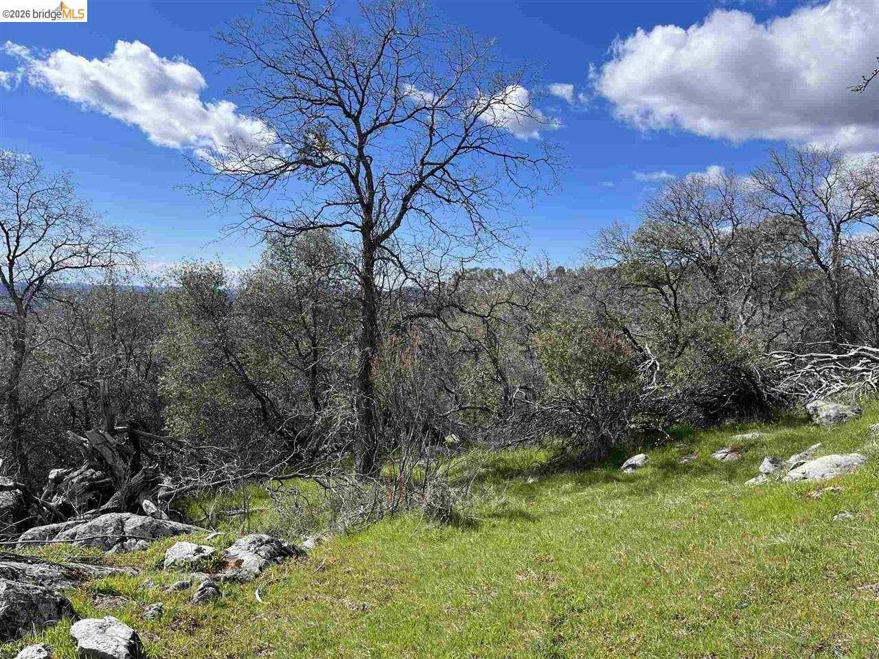 18351 Olov Road Sonora, CA 95370 - Photo 12 of 29