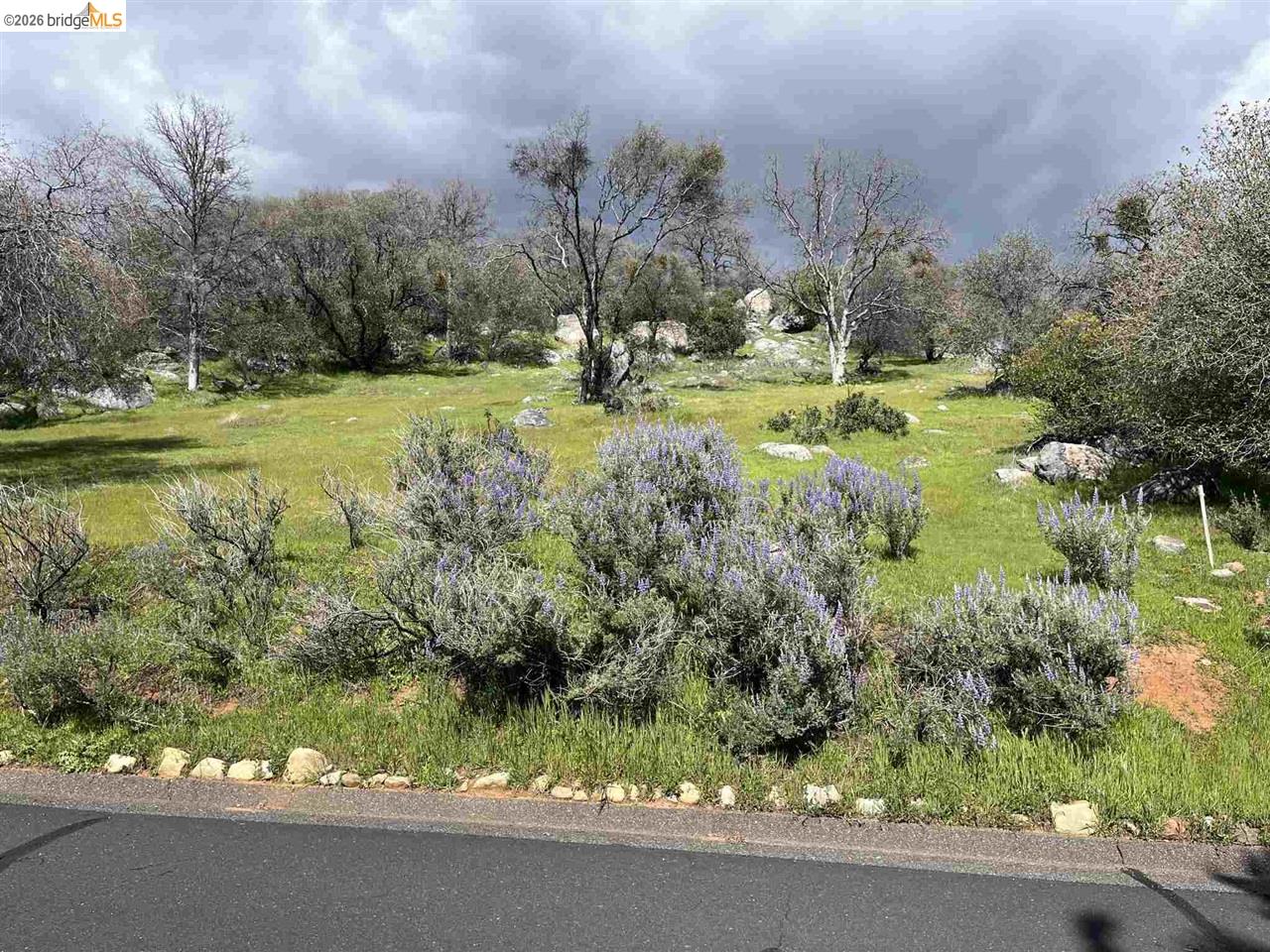 18351 Olov Road Sonora, CA 95370 - Photo 18 of 29