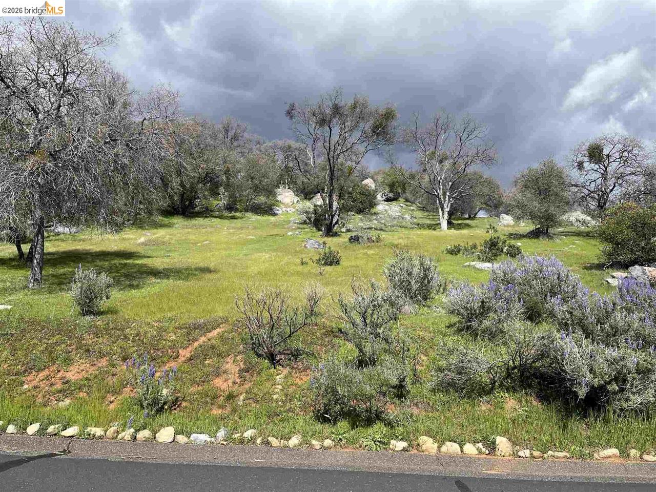 18351 Olov Road Sonora, CA 95370 - Photo 19 of 29