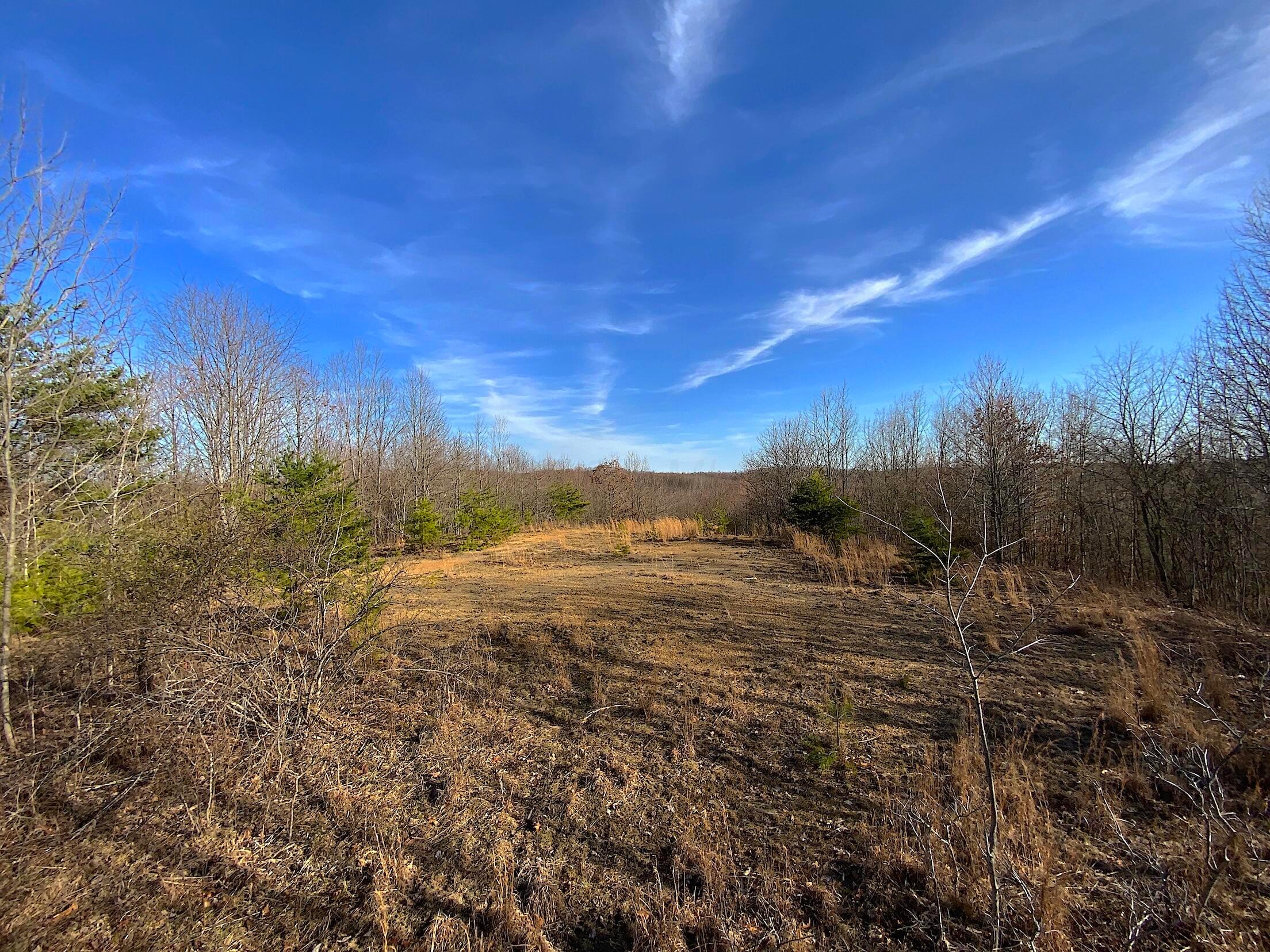 0 Kelly Road Ray, OH 45672 - Photo 42 of 46 Vinton County Kelly Rd 41