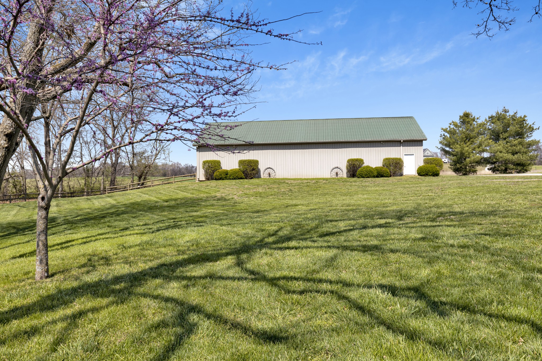 5144 Drake Road Cedar Hill, TN 37032 - Photo 73 of 80 a view of a big yard with large tree
