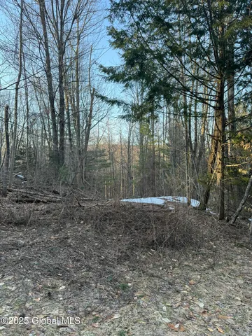 $39,900 | 132 Wesskum Woods Road, Gloversville, NY 12078