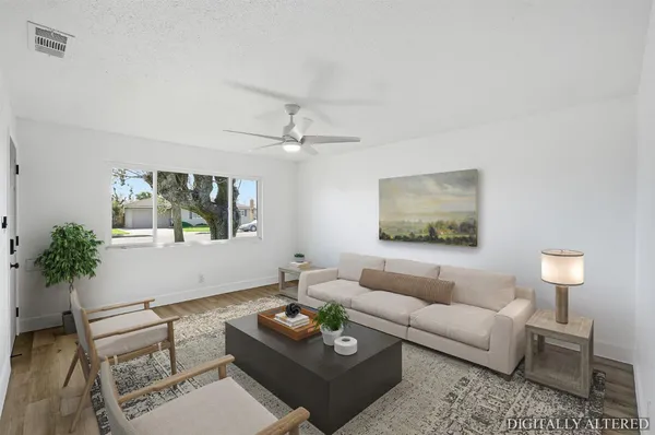 a living room with furniture and a potted plant
