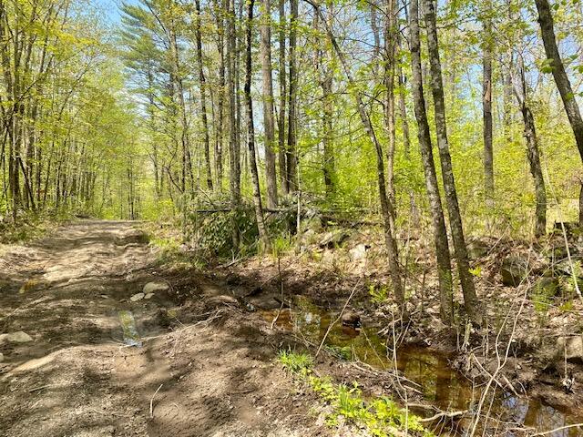42-ac 42-ac Ben Gilpatrick Road Hiram, ME 04041 - Photo 4 of 14