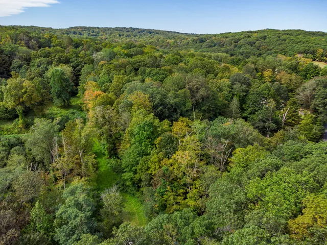 a view of a green field with lots of bushes