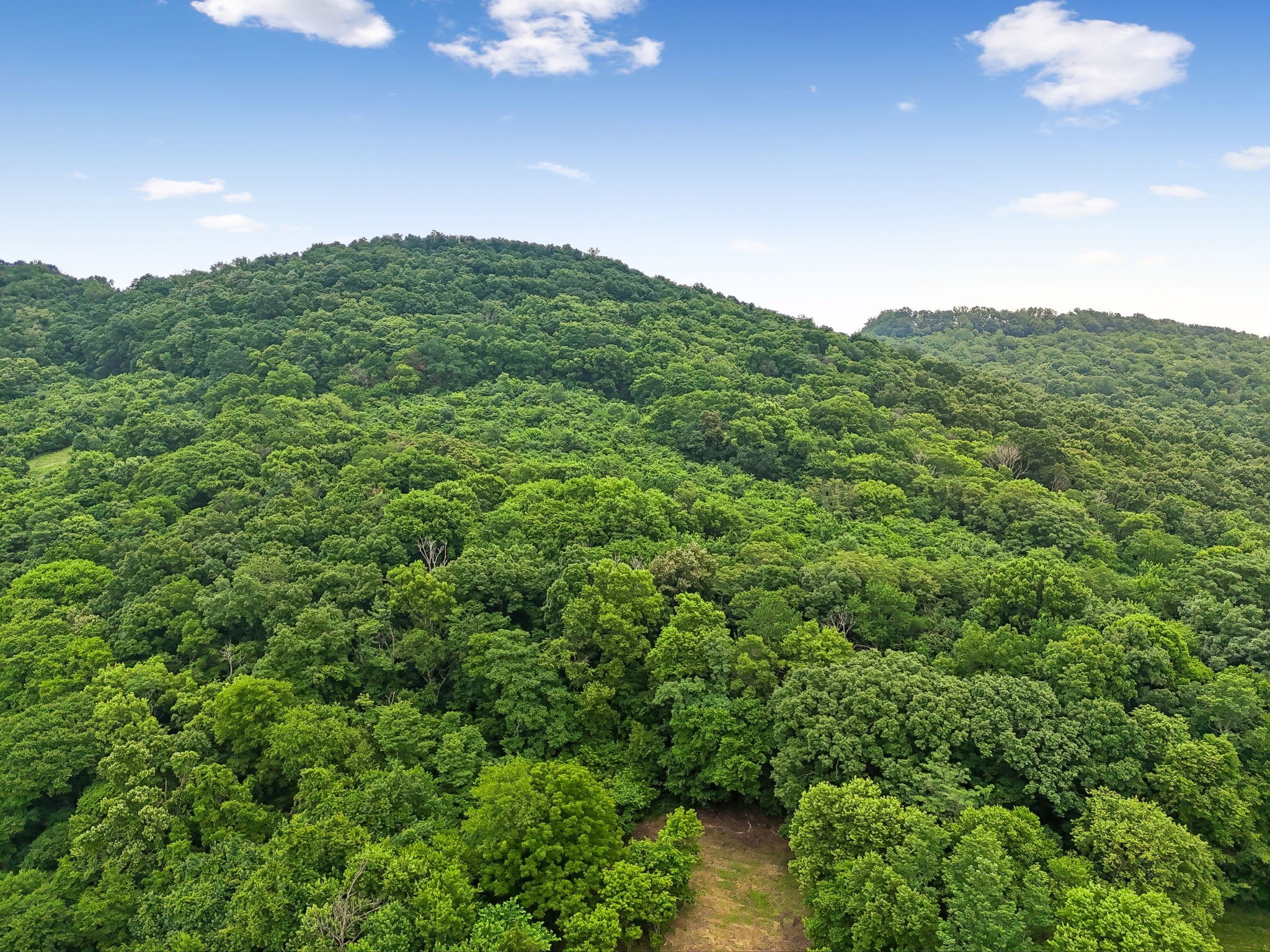 0 Hix Road Gordonsville, TN 38563 - Photo 36 of 37