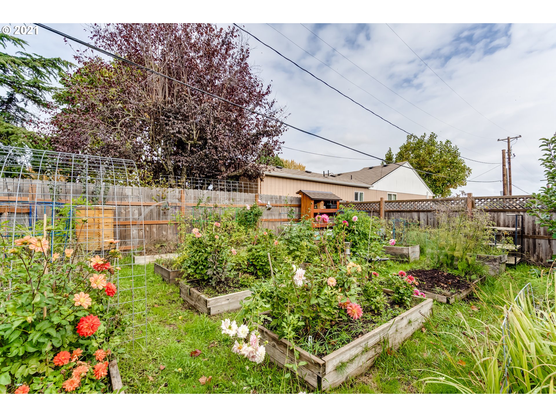 3250 B Street Springfield, OR 97478 - Photo 24 of 31 a view of yard with seating space