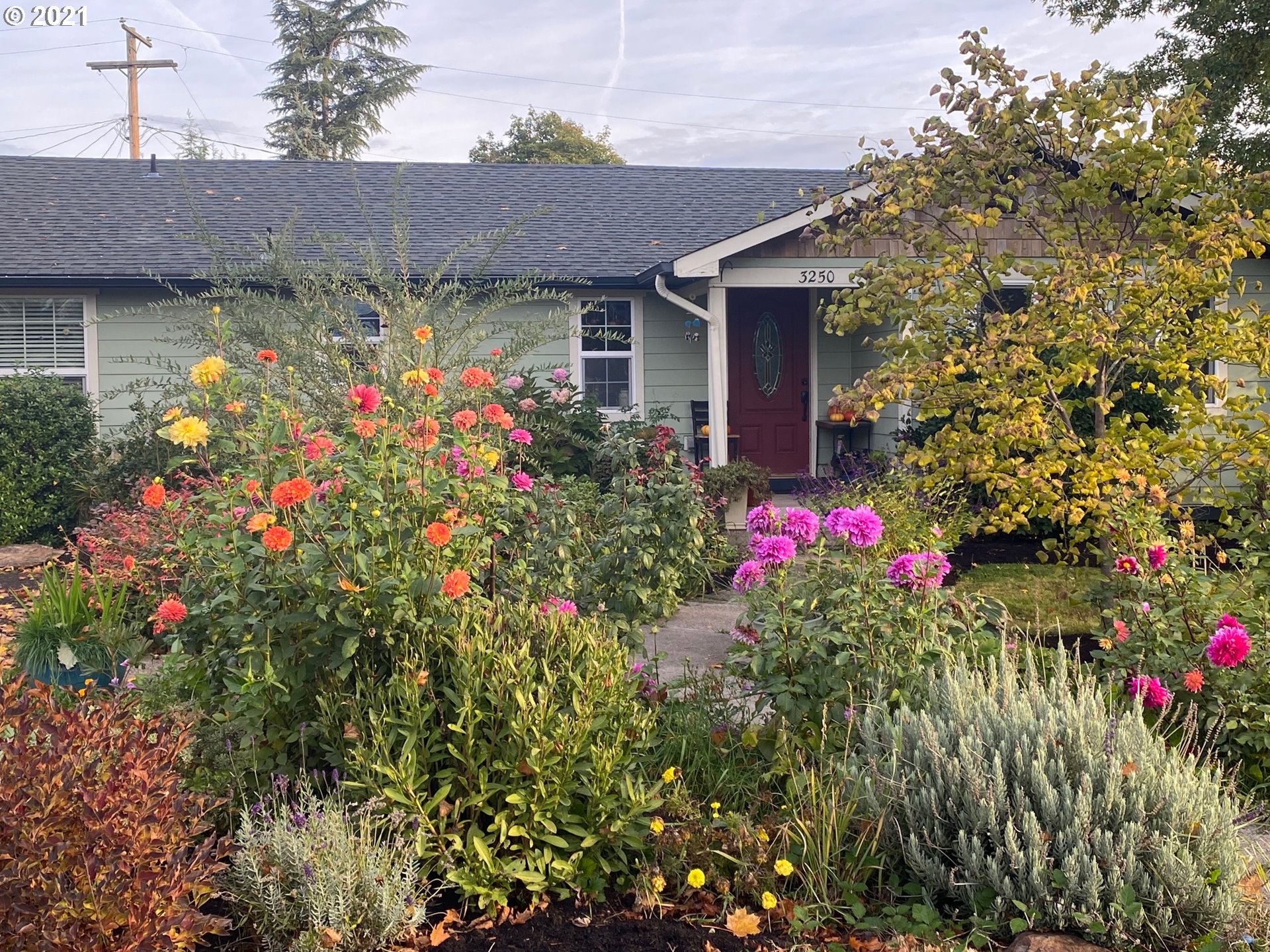 3250 B Street Springfield, OR 97478 - Photo 27 of 31 a bunch of flowers are in front of house