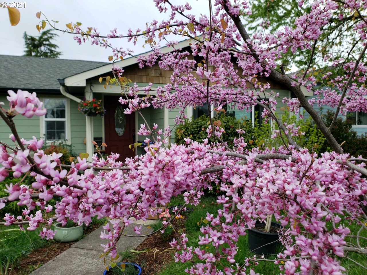 3250 B Street Springfield, OR 97478 - Photo 28 of 31 a bunch of flowers are in front of house
